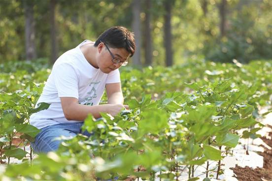 美菜网标准化、精准化是传统农业数字革新的必经之地