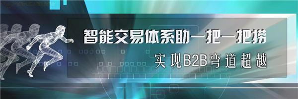 智能交易体系助一把一把捞实现B2B弯道超越